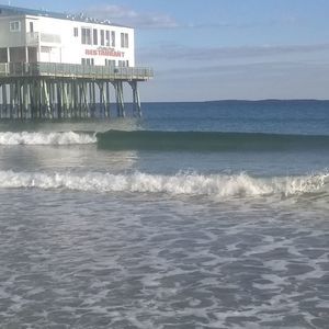 Meet your Posher, Willam